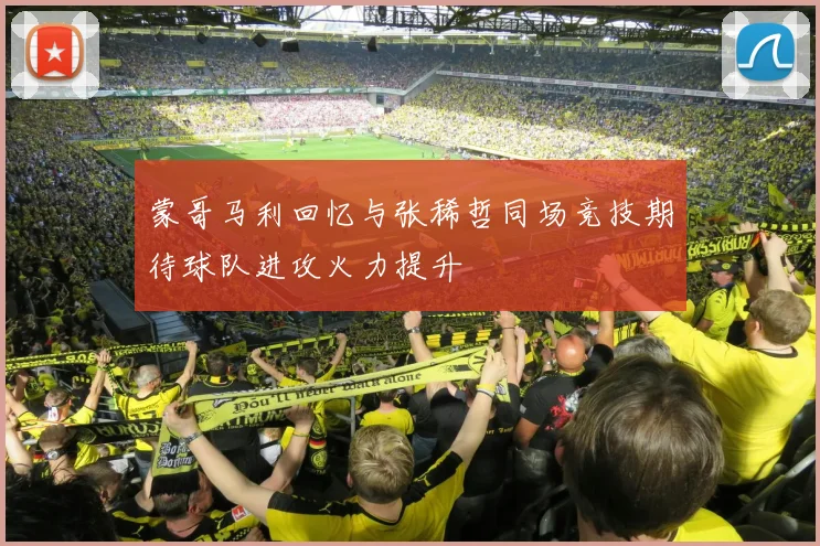 蒙哥马利回忆与张稀哲同场竞技期待球队进攻火力提升