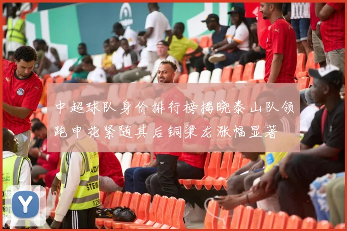 中超球队身价排行榜揭晓泰山队领跑申花紧随其后铜梁龙涨幅显著