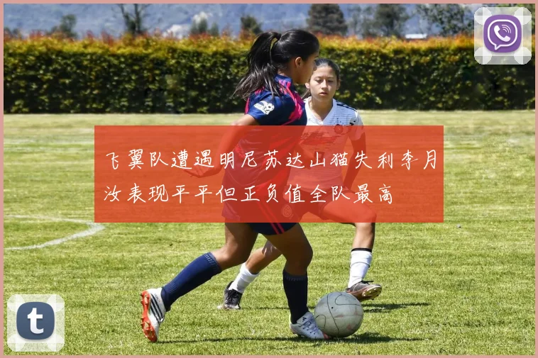 飞翼队遭遇明尼苏达山猫失利李月汝表现平平但正负值全队最高