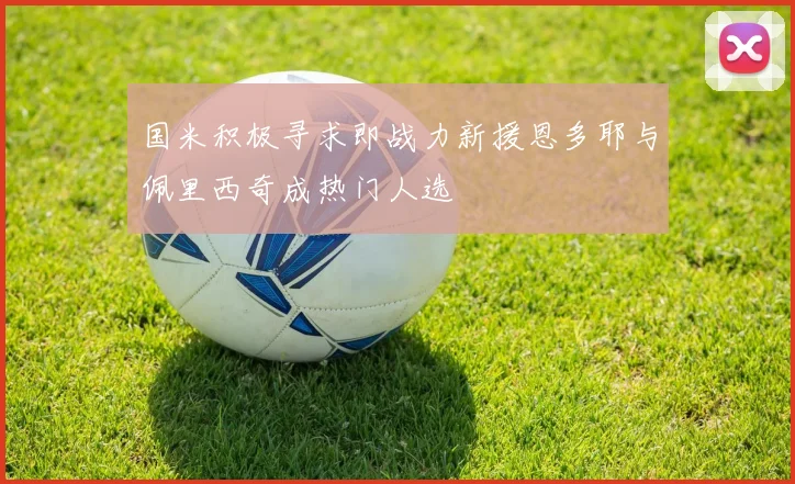 国米积极寻求即战力新援恩多耶与佩里西奇成热门人选